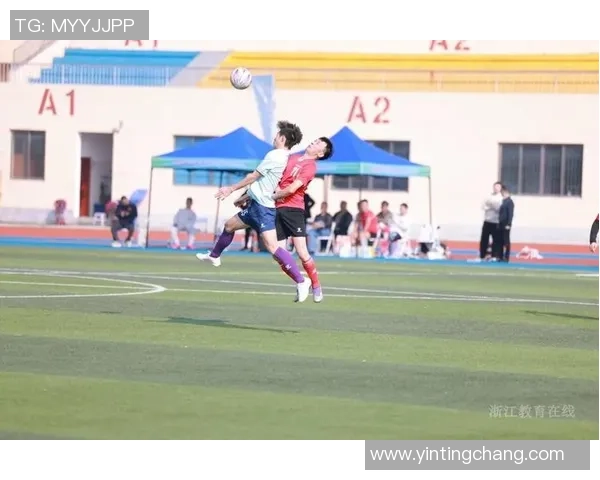 足球lee的精彩瞬间与成长历程揭秘，带你走进他的足球世界与梦想追逐之旅