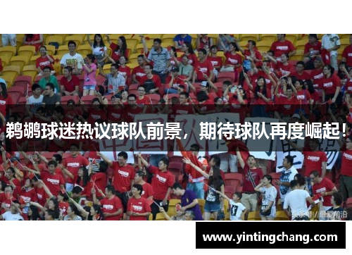 鹈鹕球迷热议球队前景，期待球队再度崛起！
