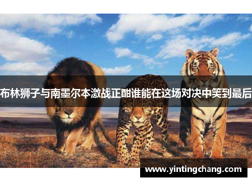 布林狮子与南墨尔本激战正酣谁能在这场对决中笑到最后